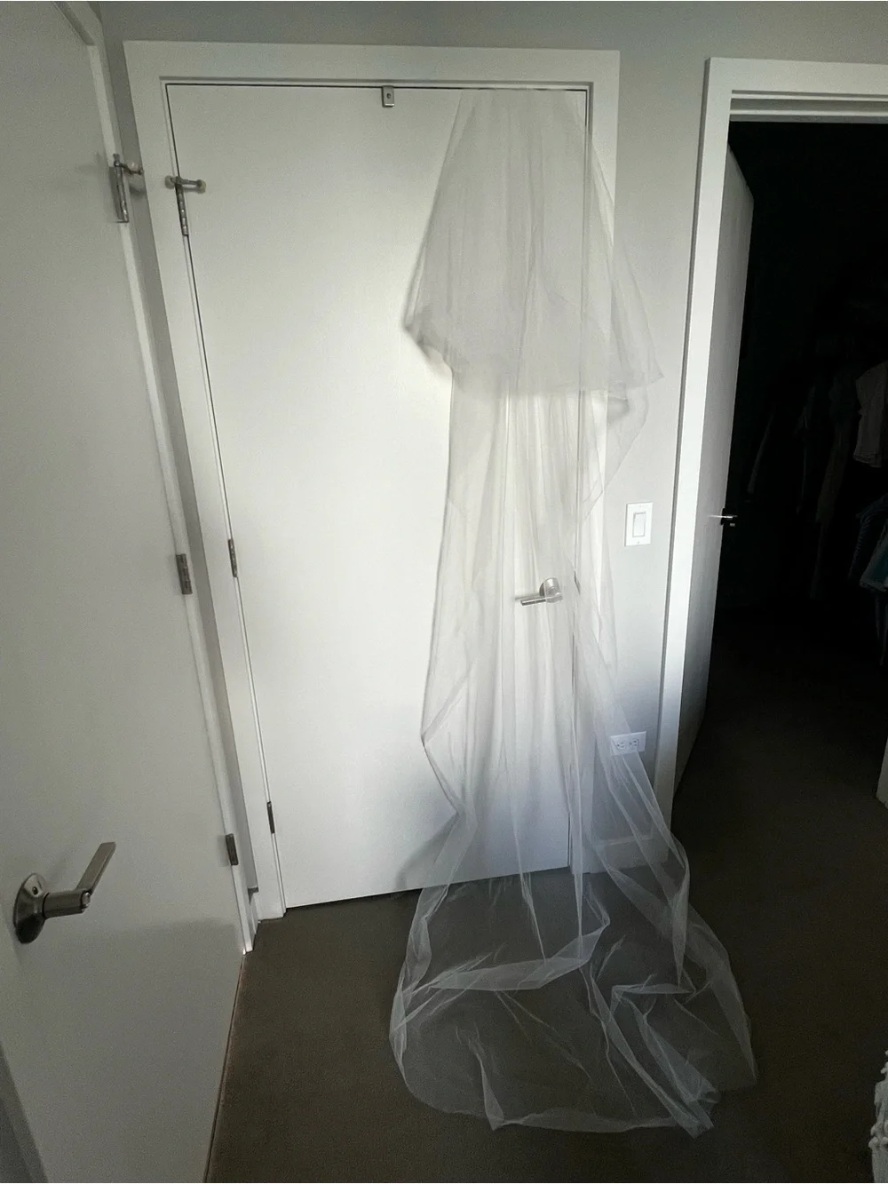Light Ivory Cathedral Veil With Blusher